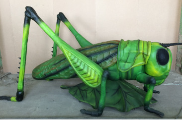 Насекомые - фото