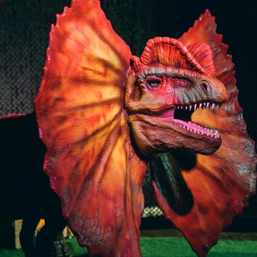 Дилофозавр - фото аниматронной фигуры в наличии