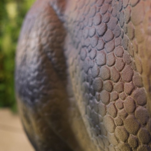 Пахицефалозавр - фото аниматронной фигуры в наличии